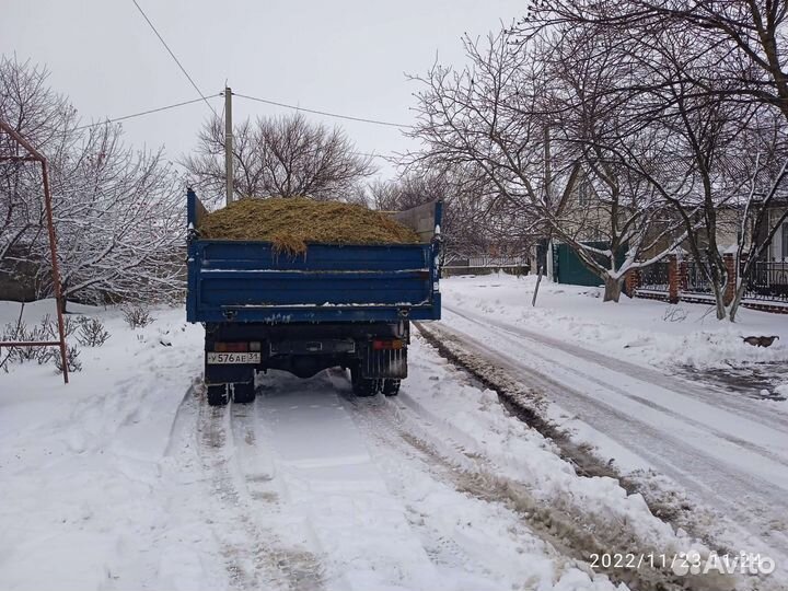 Силос Сенаж сено в тюках с доставкой