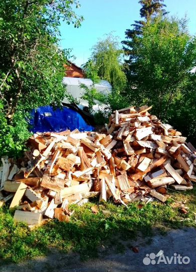 Дрова Береза любой объем от производителя в Приозе