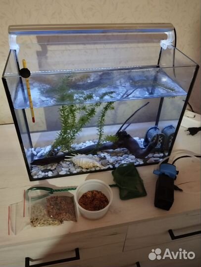 Аквариум с наполнением и замок