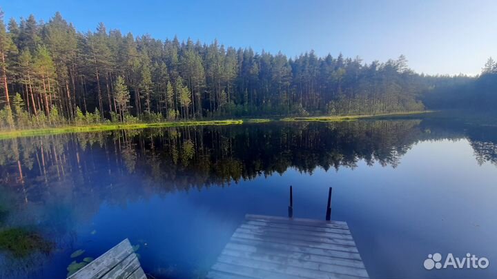 Оформление земельного участка от государства