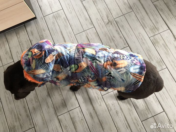 Жилетка зимняя для собак for my dogs