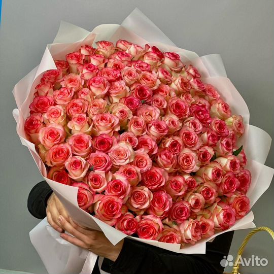 101 роза 60 см/ Букеты из 101 роз/Доставка