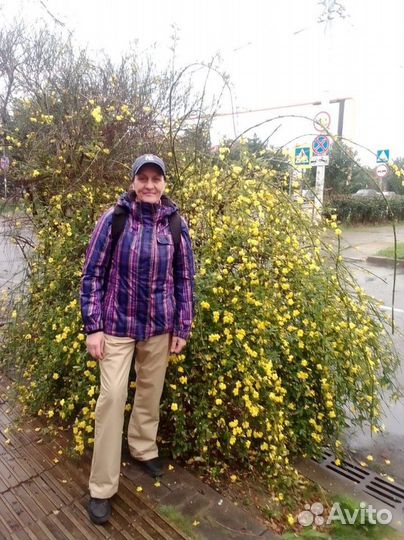 Любая работа, подработка