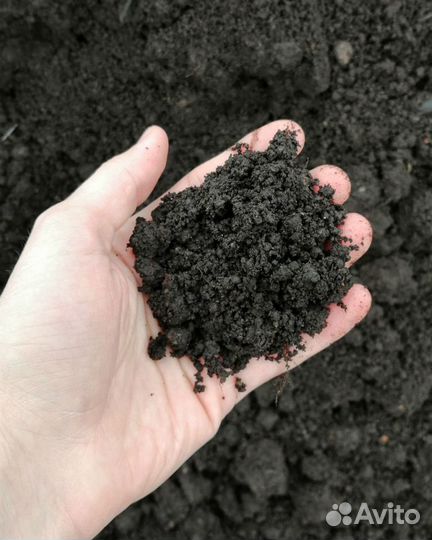 Приму грунт чернозем пескобетон глину песок
