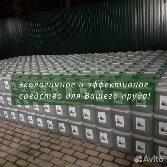 Хлорелла для очистки водоемов