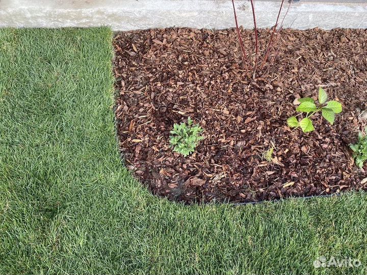 Кора сосновая