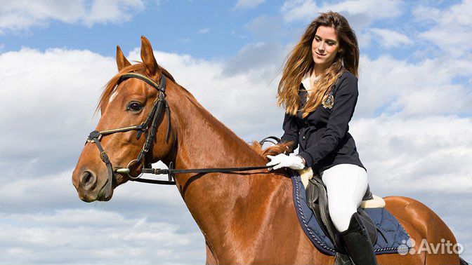 Конная прогулка на лошадях