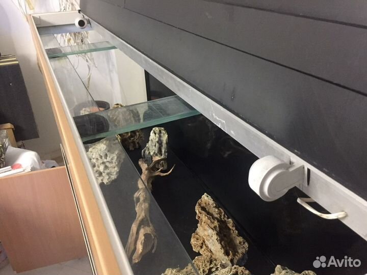 Аквариум 450л. с тумбой крышкой итд
