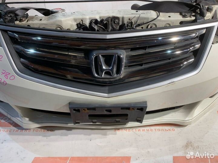 Ноускат Бампер Honda Accord 8 2009