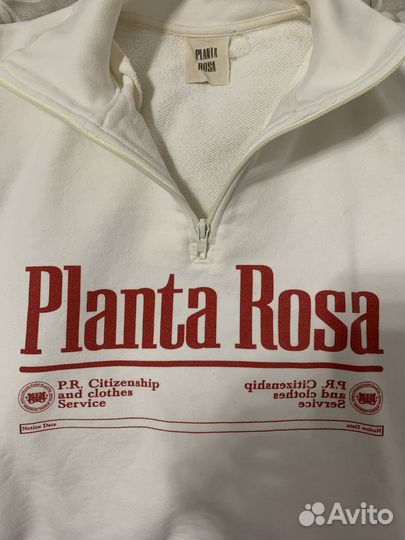 Planta rosa анорак