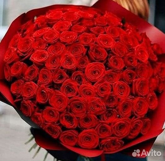 Высокие розы Гигантские розы Доставка цветов