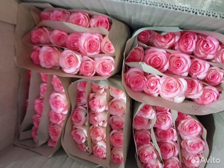 Букет из роз/Праздничный букет