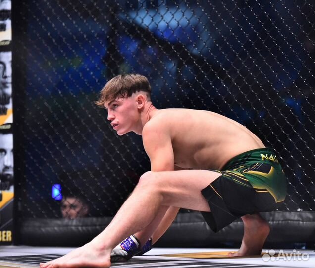 Персональные тренировки по Тайскому боксу, мма