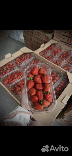 Клубника свежая