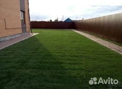 Продажа Рулонного газона