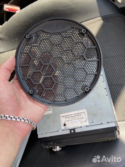 Штатная магниола калина 1