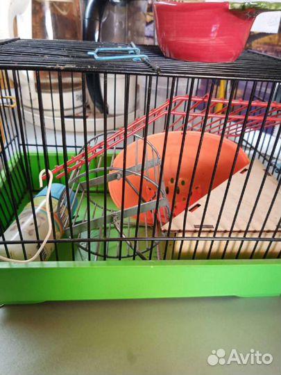Клетка для грызунов