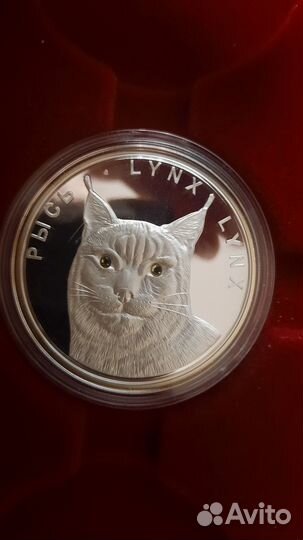 Серебряная монета Беларуси — Рысь