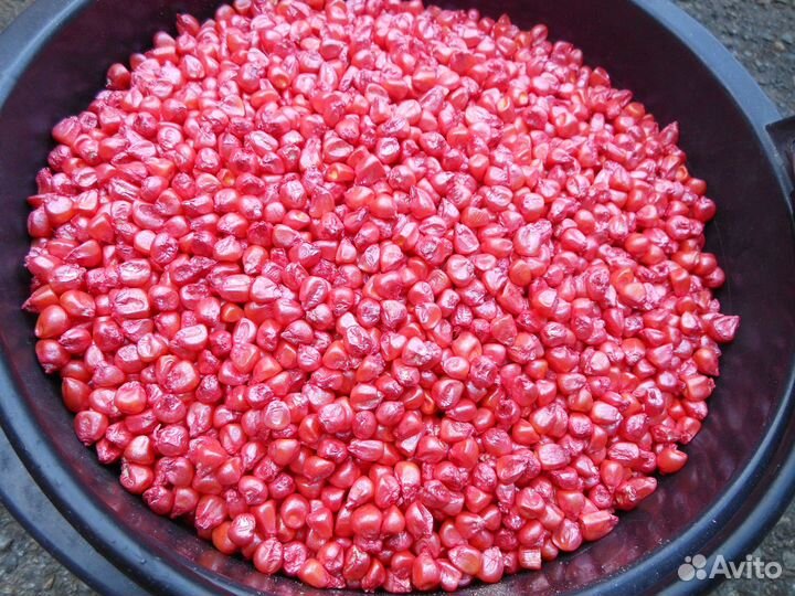 Семена кукурузы Краснодарская 291 амв, 292 амв