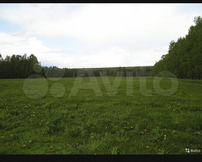 Дом 160 м² на участке 40 сот.