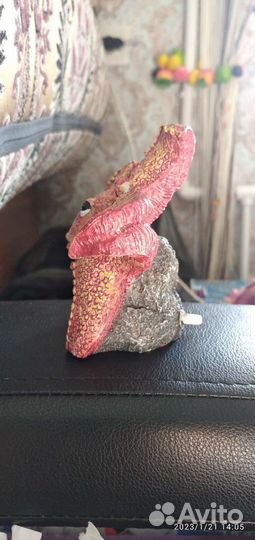 Грот Морская звезда 11*6,6*10,5см