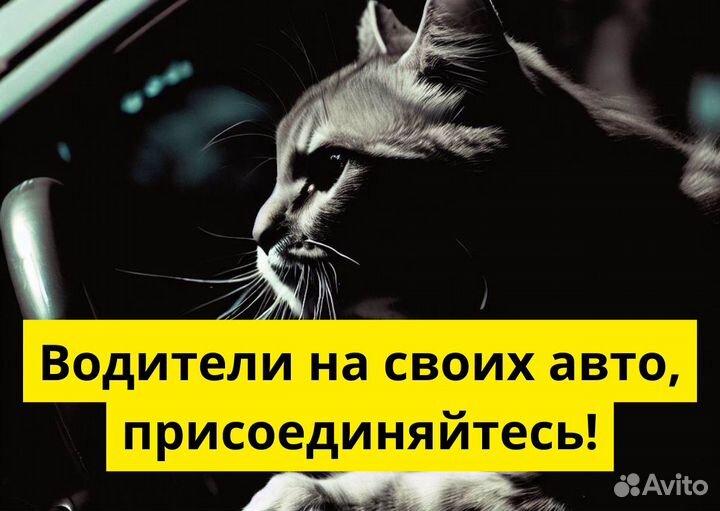 Ищем водителей Яндекс GO на личном авто