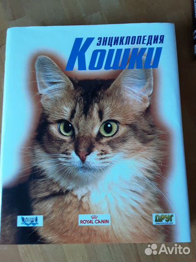 Энциклопедия кошки франция