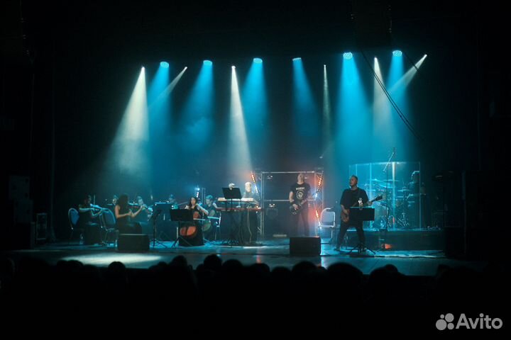 Музыкант. Скрипка-виртуоз. Соло, квартет, оркестр