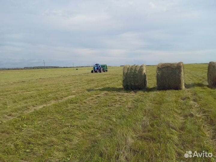 Сено в рулонах
