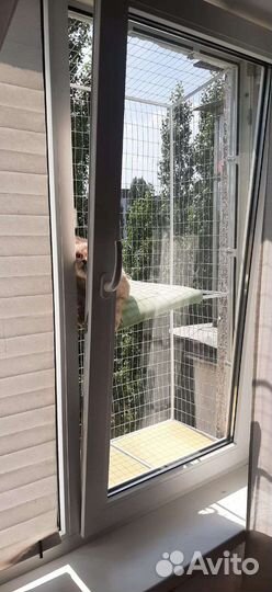 Балкон для кошек