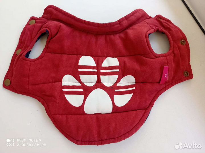 Одежда для собак