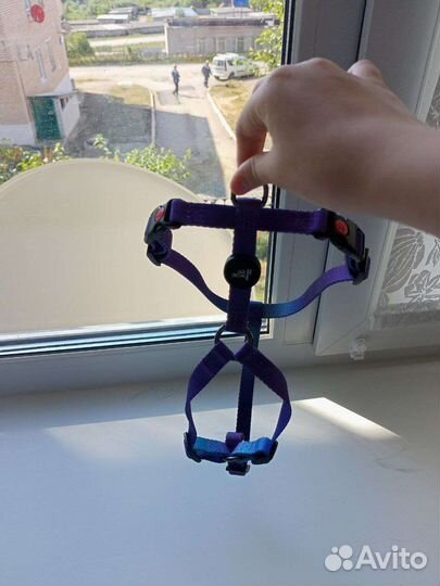 Шлейка, ошейник(2), намордник, комбинезон