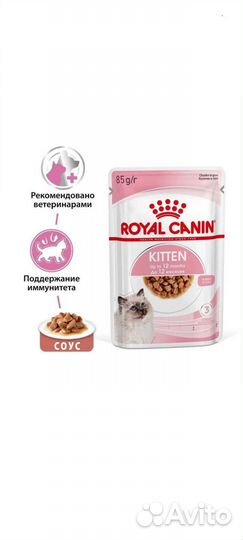 Корм для кошек royal canin kitten