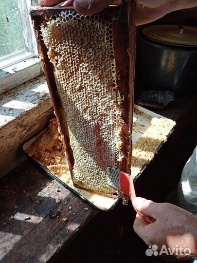 Мед 3-х литровая банка