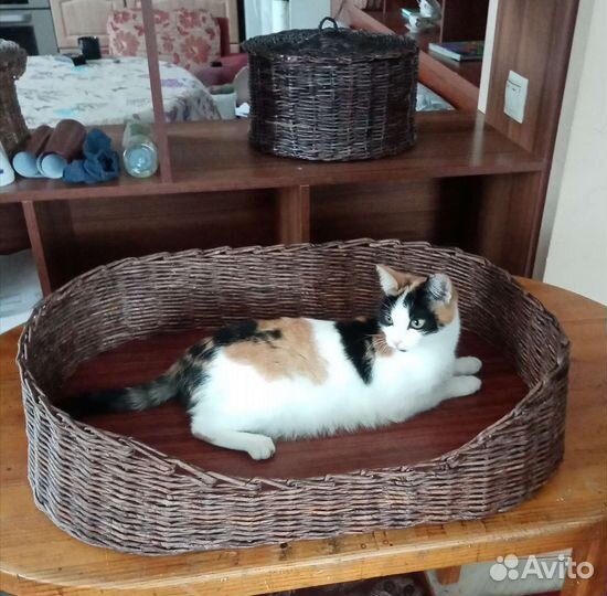 Плетёная корзинка-лежанка