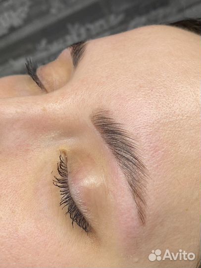 Мастер бровист