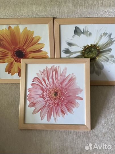 Картины IKEA 34/34см