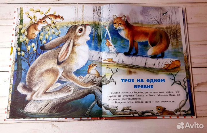 Сказки лесной опушки