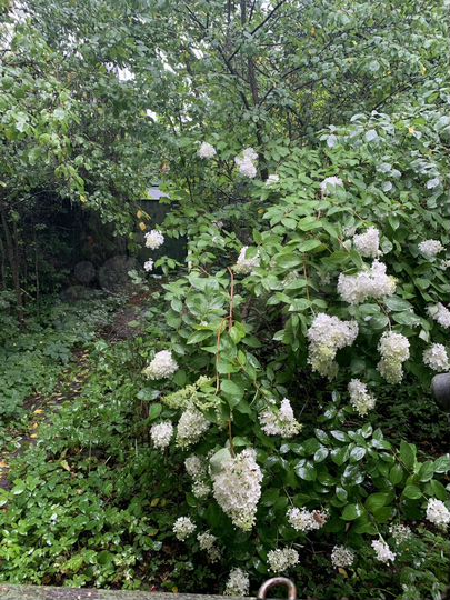 Дача 36 м² на участке 6 сот.