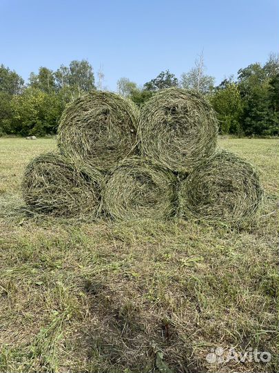 Сено в тюках