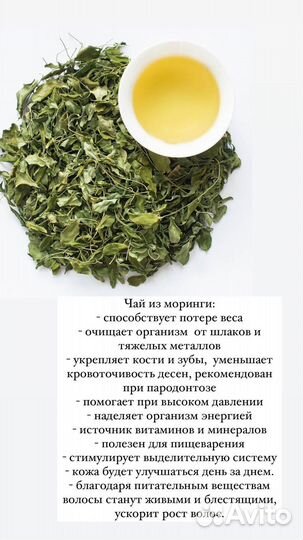 Чай Моринга