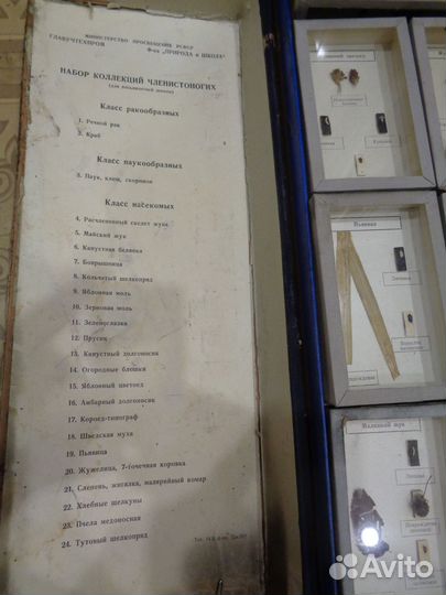 Набор коллекций членистоногих РСФСР