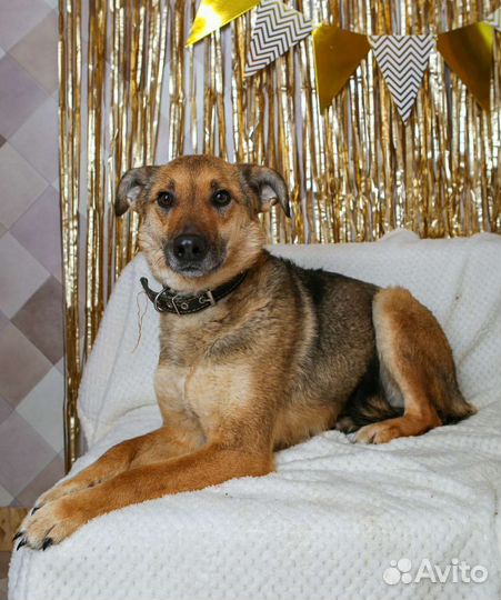 Лакки предали люди