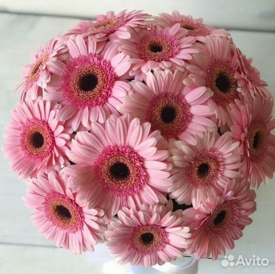 Герберы Букет Премиум