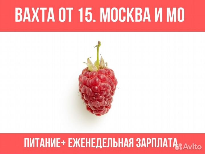 Фасовщик/Упаковщик / малины Вахта Всё включено