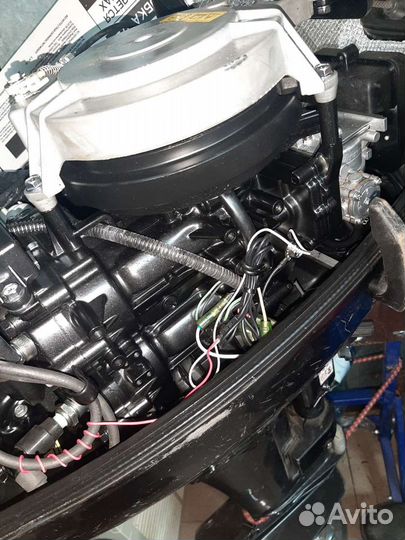 Suzuki DT 9.9