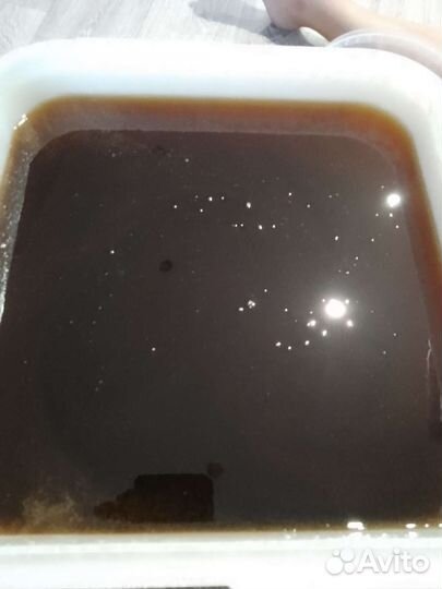 Мед мёд с Алтая