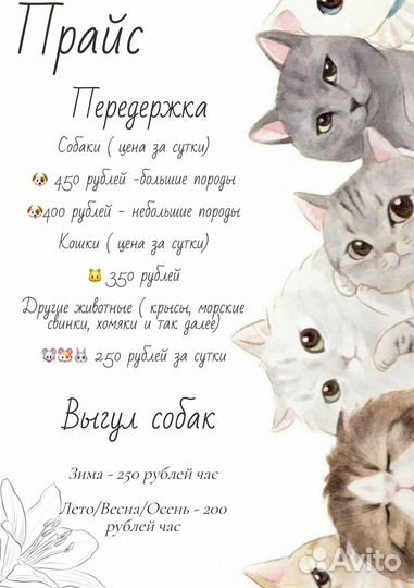 Передержка, выгул