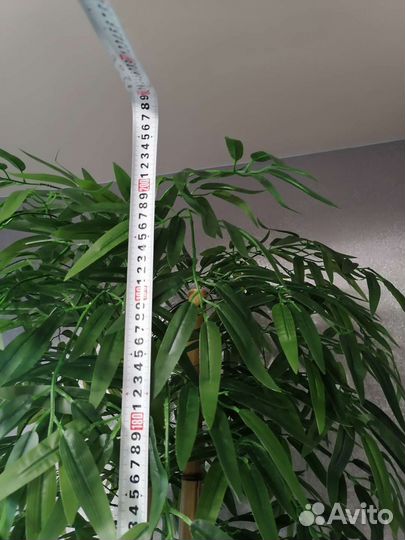 Искусственное дерево бамбук