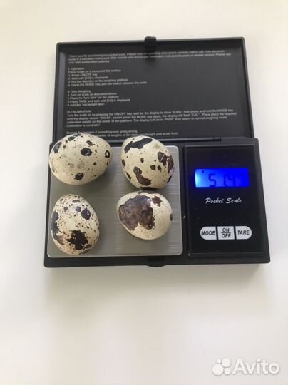 Яйцо перепелиное